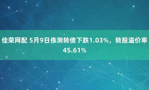 佳荣网配 5月9日伟测转债下跌1.03%，转股溢价率45.61%