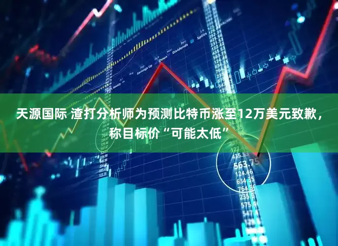 天源国际 渣打分析师为预测比特币涨至12万美元致歉，称目标价“可能太低”
