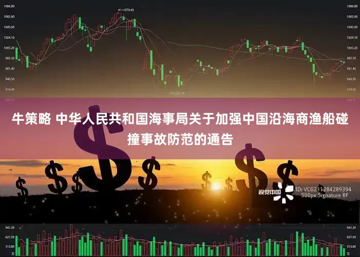 牛策略 中华人民共和国海事局关于加强中国沿海商渔船碰撞事故防范的通告