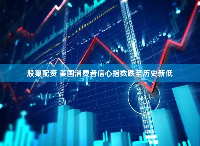 股巢配资 美国消费者信心指数跌至历史新低